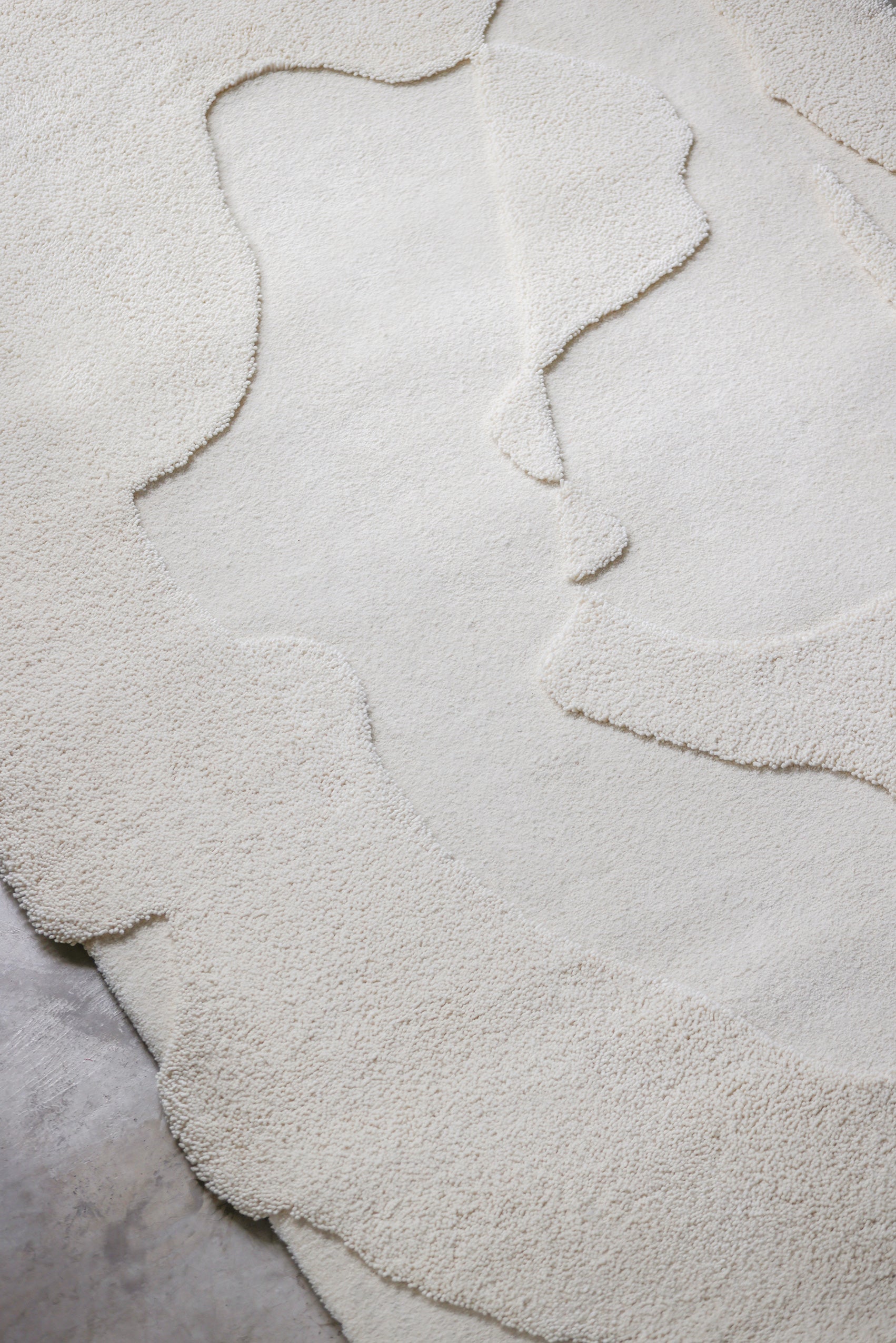 'Conjecture' rug