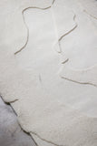 'Conjecture' rug
