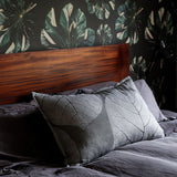 Carbon Ficus