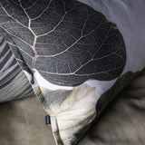 Ficus abutilifolia