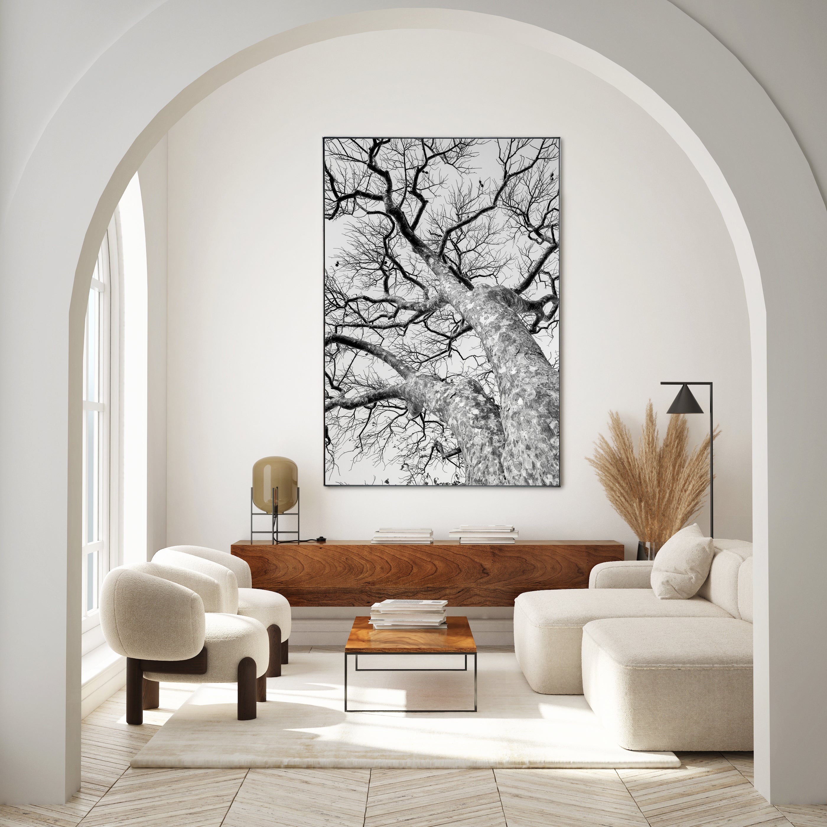 African Star-chestnut