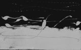 Chromatic Impressions