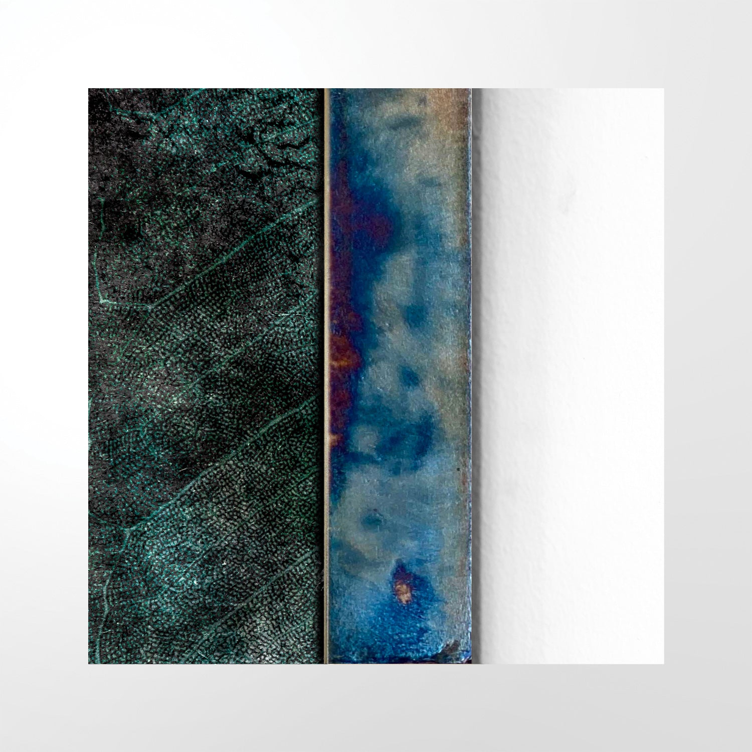 Natural Selection _ 02