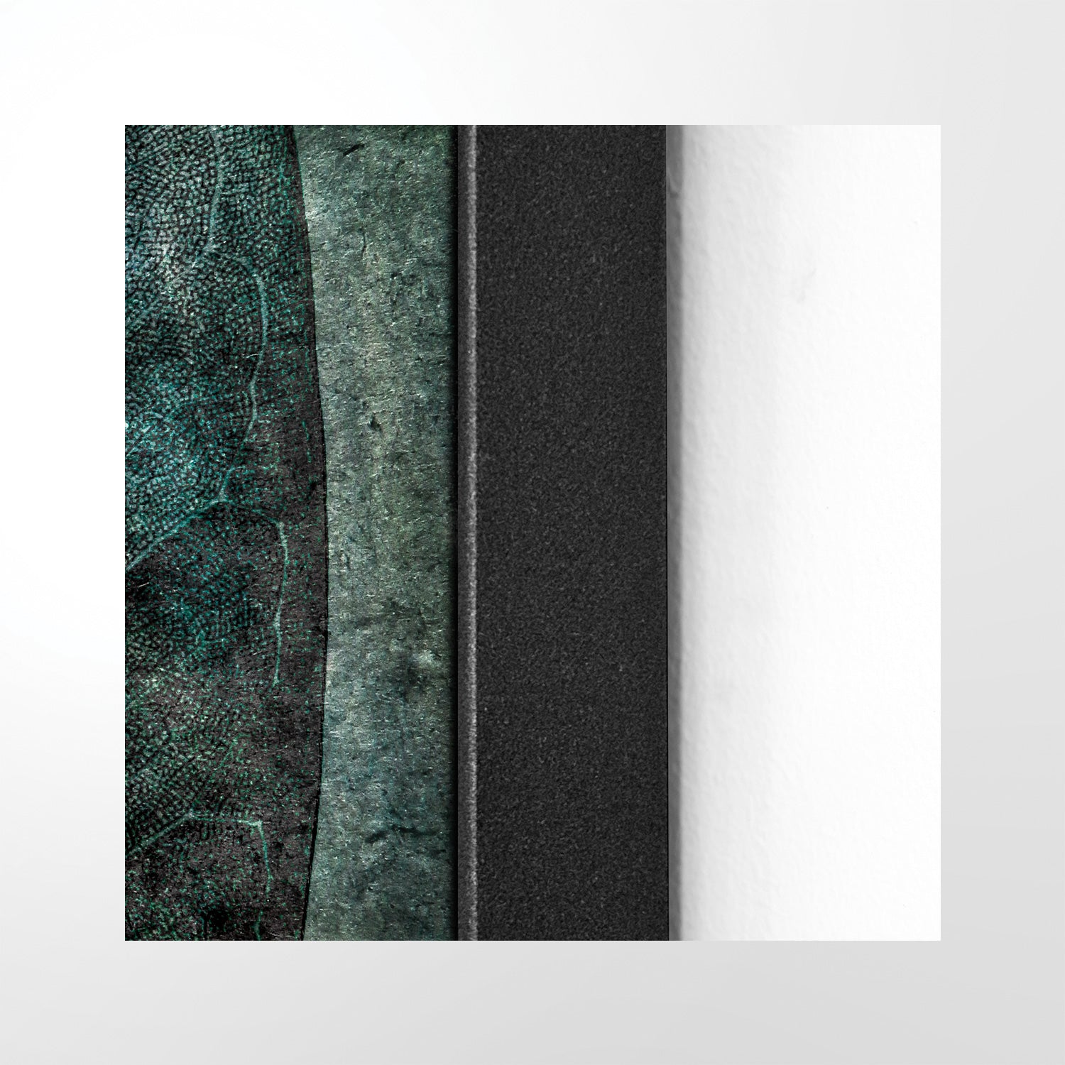 Natural Selection _ 02