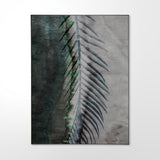 Natural Selection _ 02