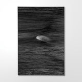 Outerknown