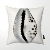 Cowry