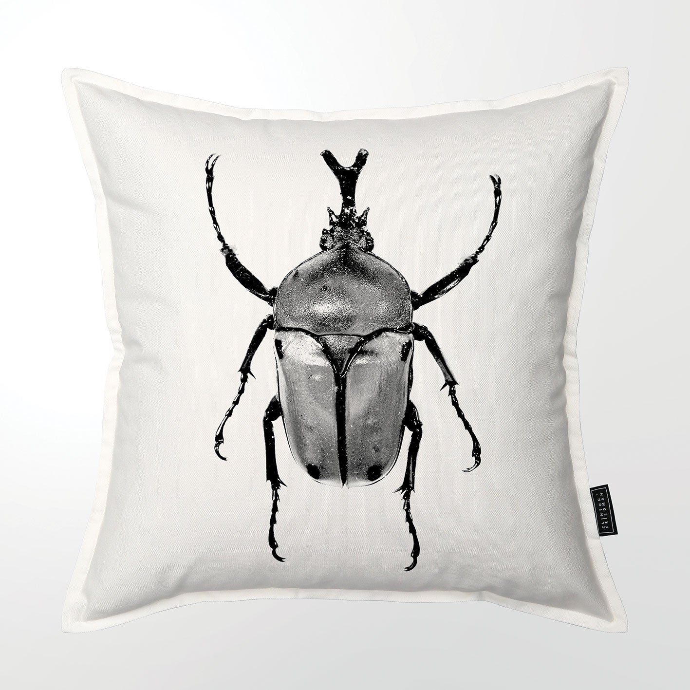 Silver Scarab