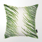 Cycas