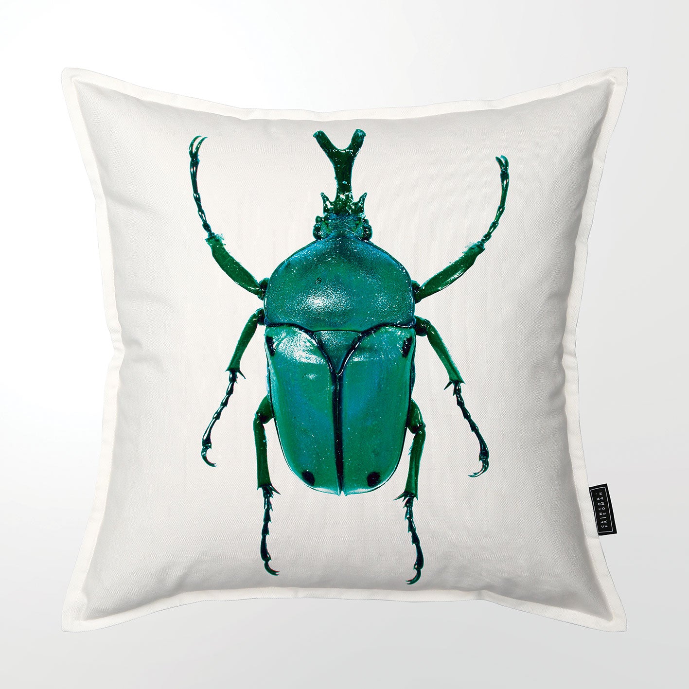 Aqua Scarab