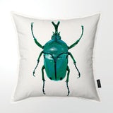Aqua Scarab