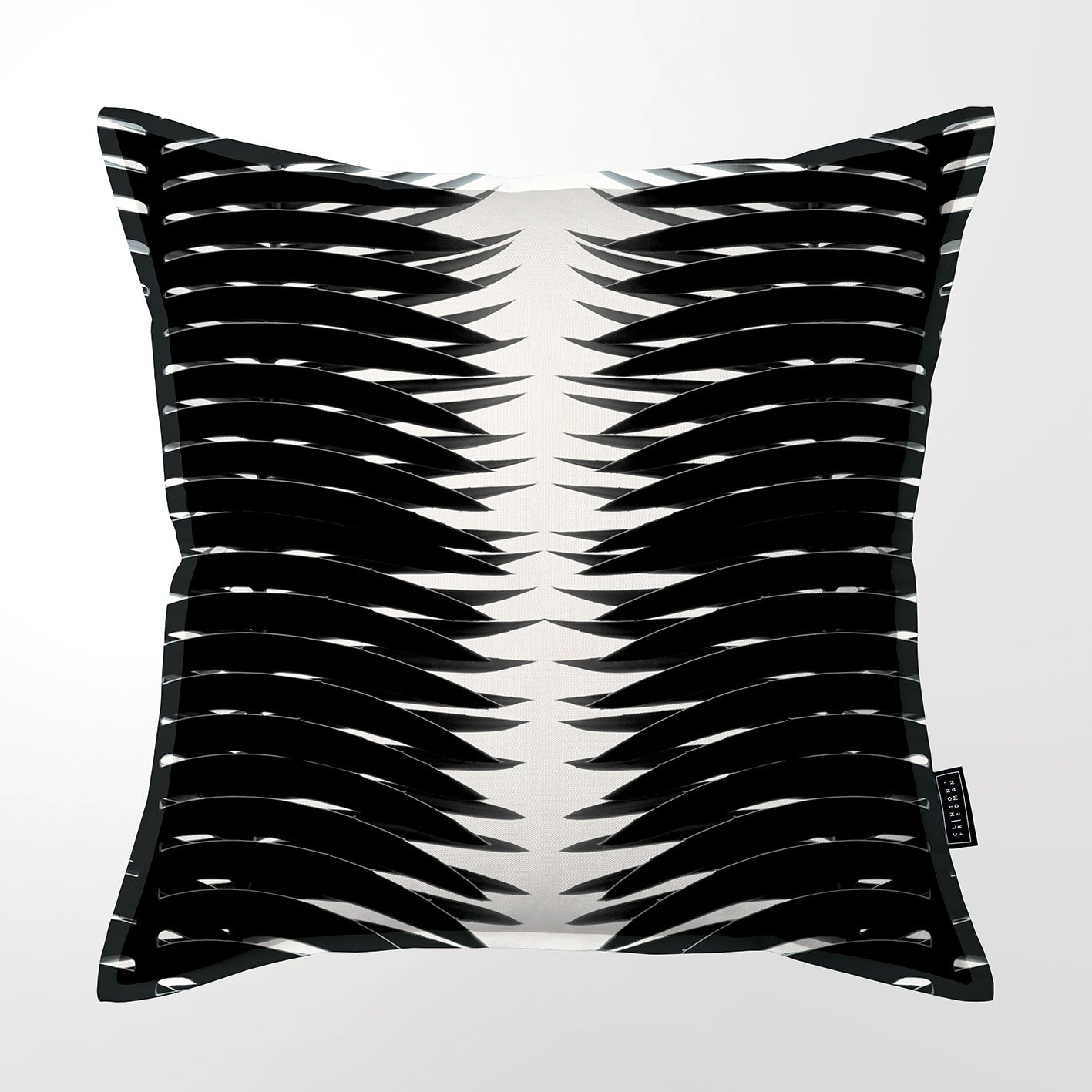 Cycad (DBL sided)