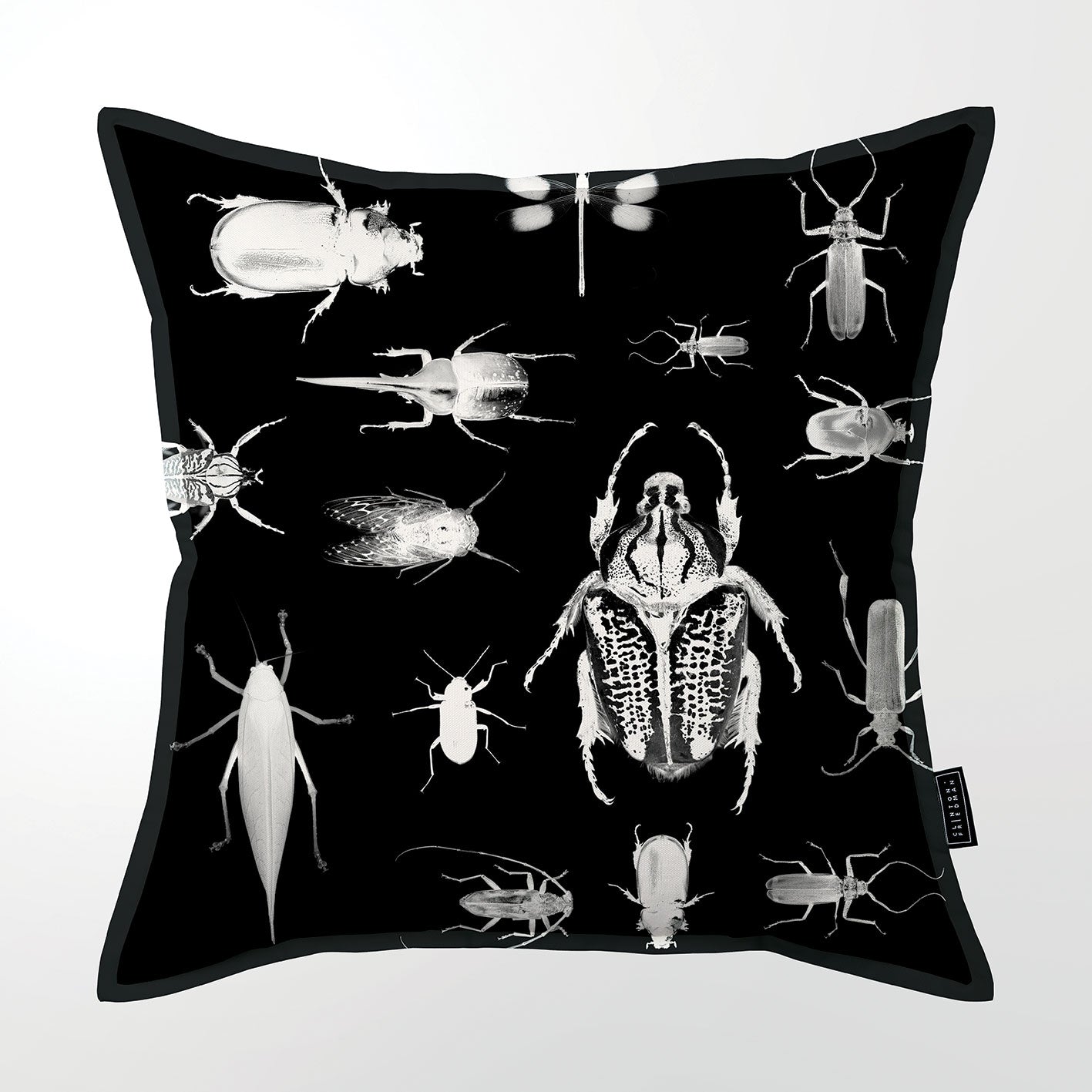 African Insect Collection (DBL sided)