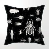 African Insect Collection (DBL sided)