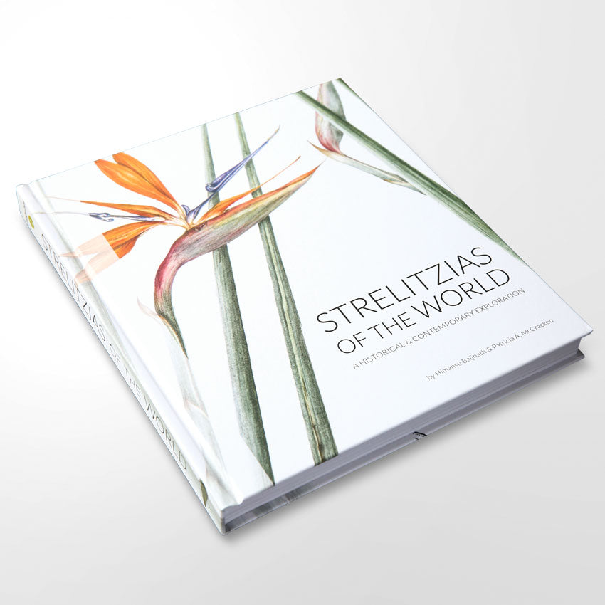 Strelitzias of the World 2018
