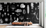 Cabinet of Natural Curiosities - Wallpaper