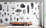 Cabinet of Natural Curiosities (white)