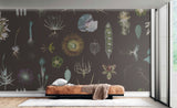 Cabinet of Natural Curiosities (brown)