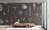 Cabinet of Natural Curiosities (neo)