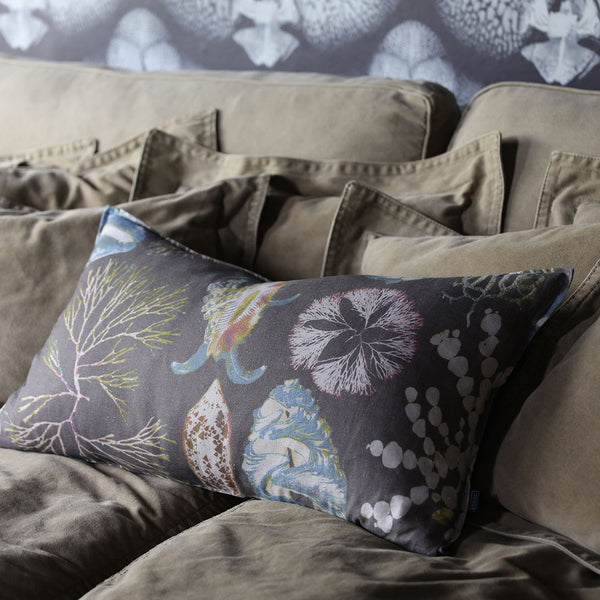 Scatter Cushions