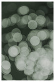 Aqua-dance-olive