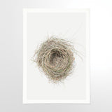 Birds-Nest