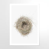 Birds-Nest
