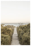 Boardwalk