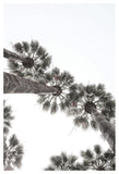 Bodrum Palms