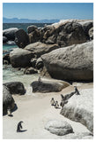 Boulder-Beach