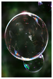 Bubble