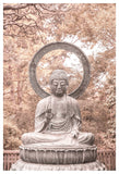 Buda