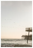 California-Surfers