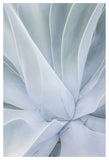 Crystal-cactus-02