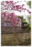 Garden Gate