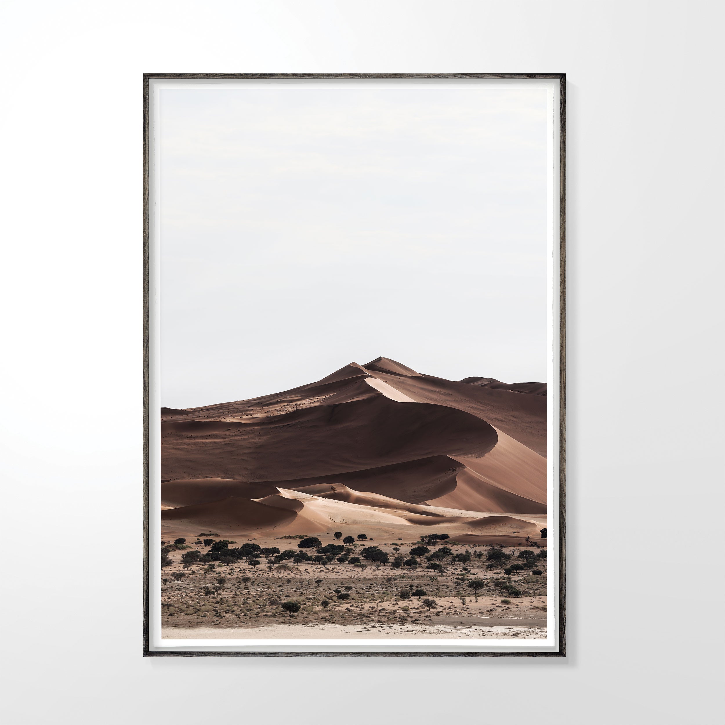 Namib #1