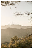 Hollywood