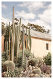 Karoo-Garden-02