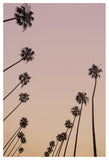 LA Sunset