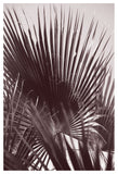 Miami no1