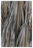 Namib palm