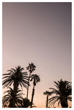 Palm Point