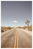 Road-to-nowhere