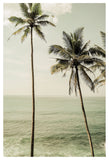 Sea Breeze No1
