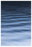 Sea-Silk