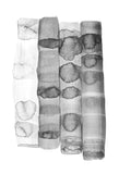 Seed-Pod