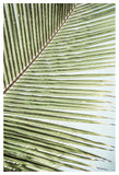 Zigzag