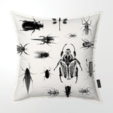 African Insect Collection (DBL sided)